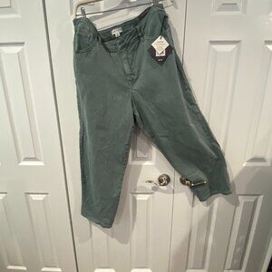 AVA VIV 18W NWT Green Jeans